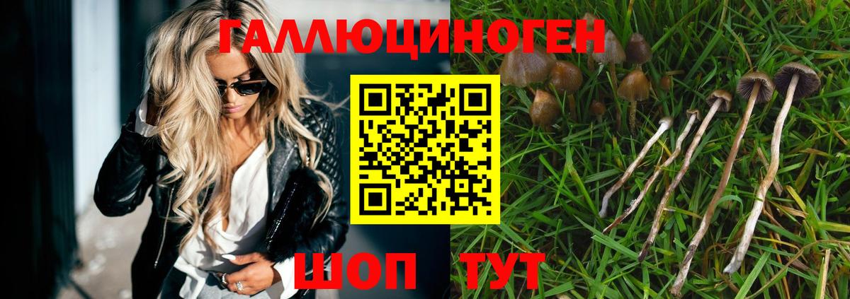 Псилоцибиновые грибы ЛСД Лесозаводск