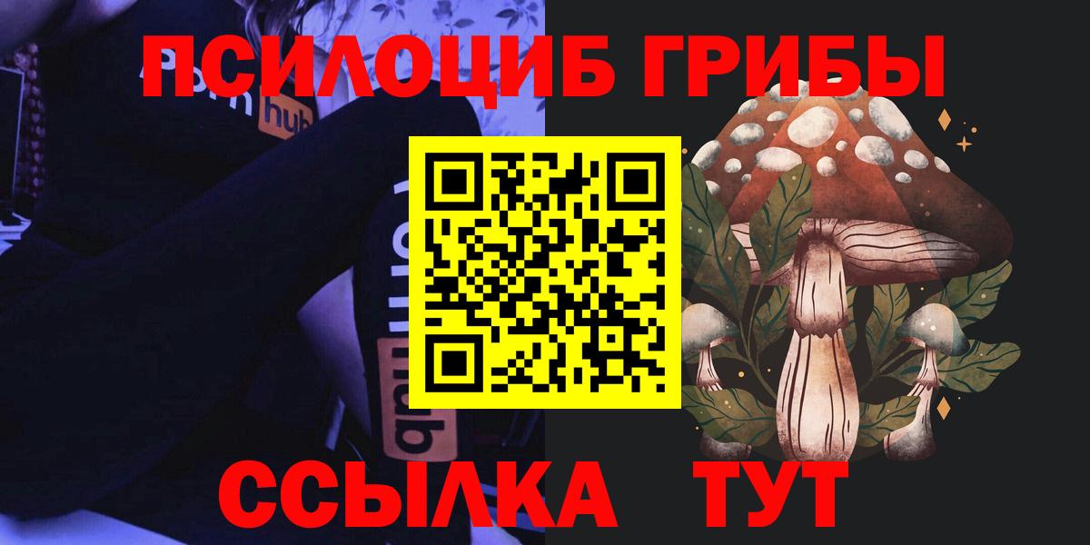 купить наркоту  Вход с VPN  Лесозаводск  Псилоцибиновые грибы Magic Shrooms 